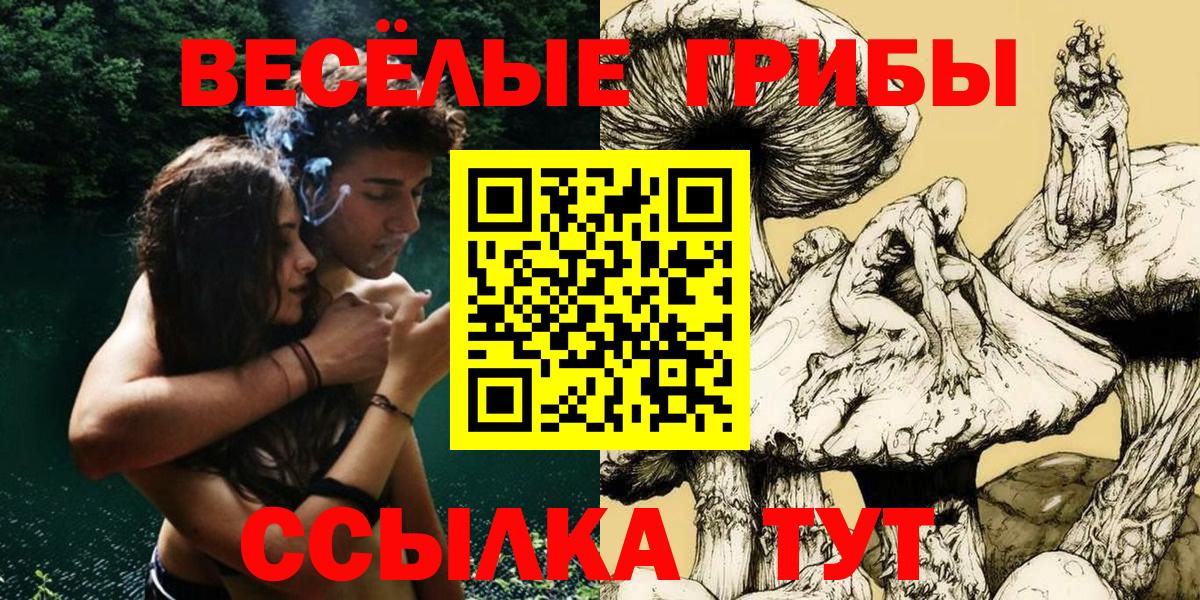 Галлюциногенные грибы GOLDEN TEACHER  Галлюциногенные грибы GOLDEN TEACHER  Вход с VPN  Боровичи 